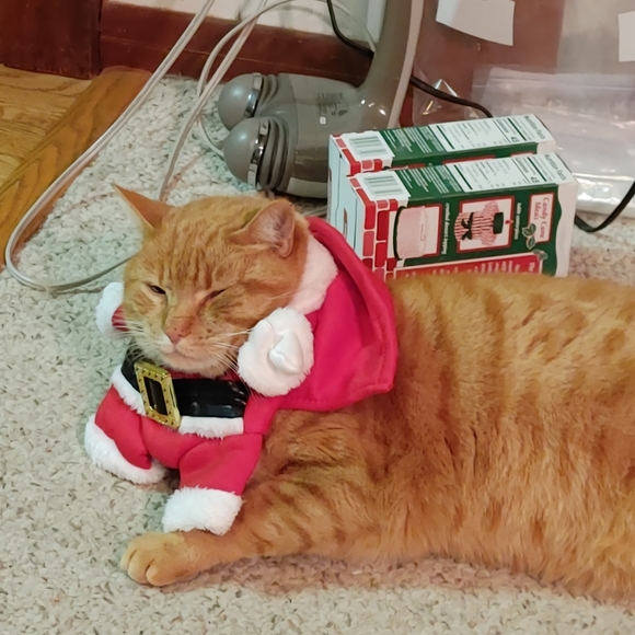 Meet your Posher, Megan - Picture 1 of 1